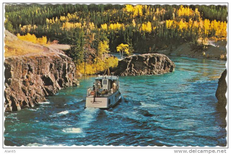 Yukon Territory Canada, Whitehorse Rapids, Excursion Boat 'Schwatka', Vintage Postcard - Yukon