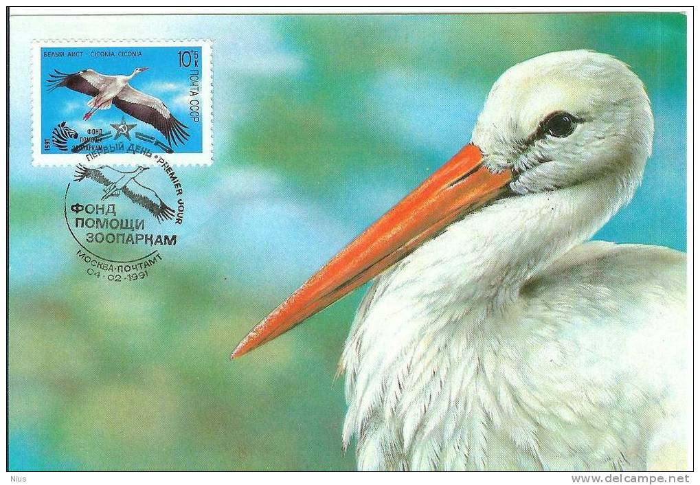 Russia 1991 Birds Stork Card Maximum Bird Fauna - Cartoline Maximum