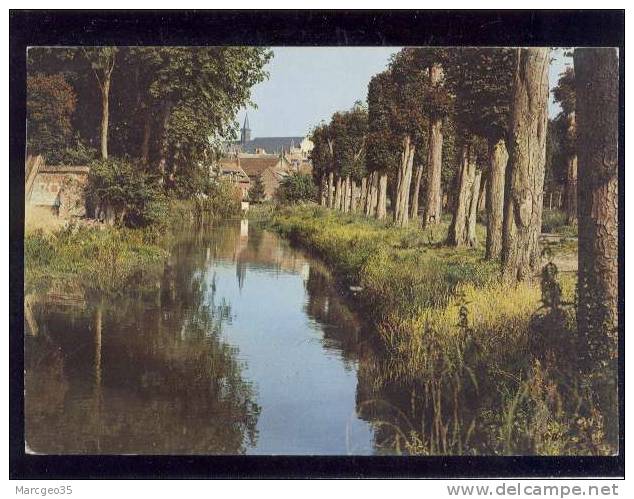 Doullens L'authie édit.mage N° 8023/2   Belle Cpsm - Doullens