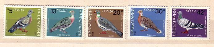 BULGARIA   BIRDS - Pigeons   5 V.-MNH - Pigeons & Columbiformes