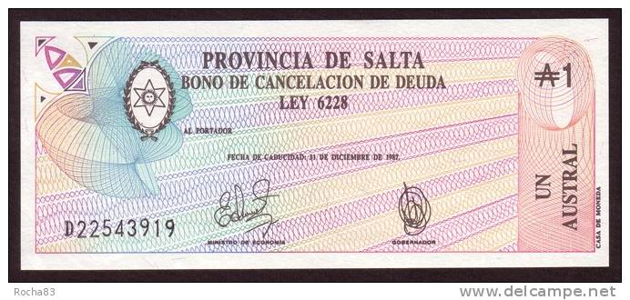 BILLET - ARGENTINE - 1 Austral Provincia De SALTA  - 31 12 1987 - Pick ? - Argentine