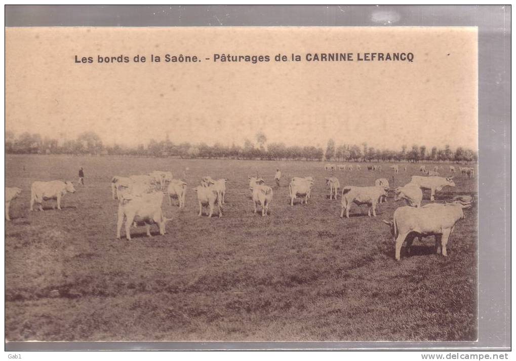 2 CP CARNINE LEFRANCQ - PATURAGES - DEBARQUEMENT A LA GARE DE VILLEFRANCHE - Allevamenti