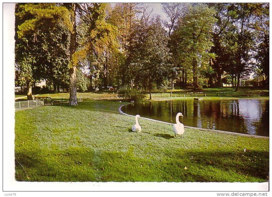 VITRY - Le Parc  -  Série : Image De France   -  Cygnes - Vitry Sur Seine