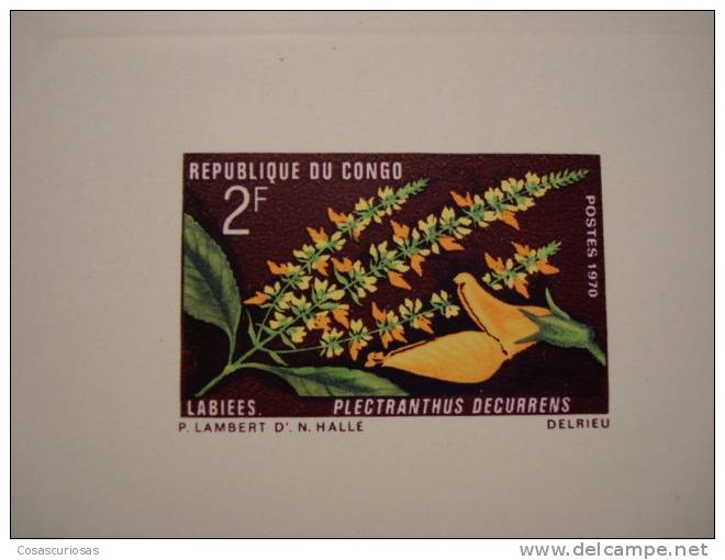 1671  REPUBLIQUE CONGO 2 F   FLEUR  FRANCE ÈPREUVE PROOF  DRUCKPROBE PRUEBA    YEAR  ??? - Mint/hinged