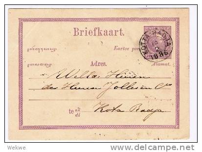 Nli016/- NIEDERL:-INDIEN - -  Willem III Ganzsache  1886. Kotha Radja Ortskarte (Banda Aceh) - Niederländisch-Indien