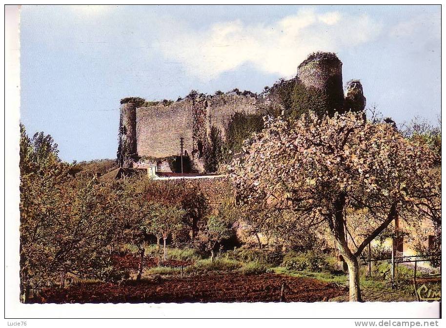 GENCAY  -  Les RUINES  Du VIEUX CHATEAU   XIIIè Et XIVè S. -  N° Cc 4028 - Gencay