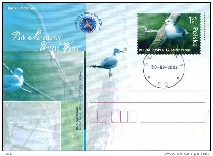 Seagull Bird  , Poland  Prepaid Card   , Postal Stationery - Autres & Non Classés