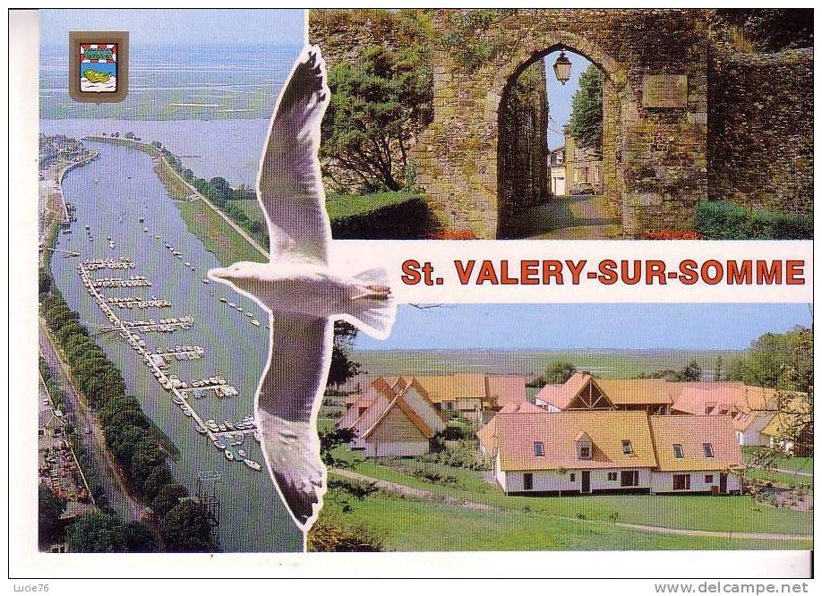 SAINT VALERY SUR SOMME - 3 Vues :  Vue Aérienne - Porte Guillaume -  Village Vacances Du Cap Hornu - Saint Valery Sur Somme