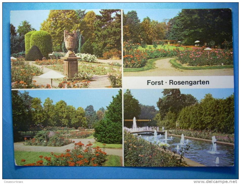 R.6044  BRANDEMBURGO  ALEMANIA GERMANY DEUTSCHLAND  FORST  ROSENGARTEN  AÑOS 80  MAS EN MI TIENDA - Forst