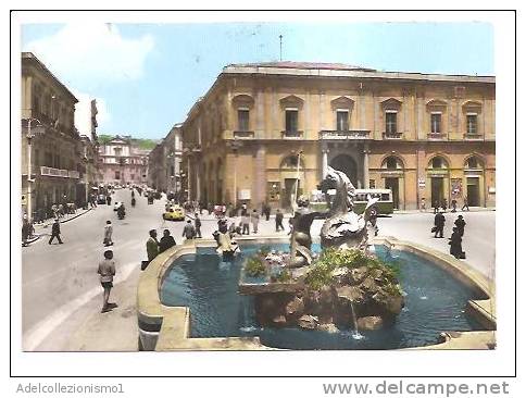 11443)cartolina Illustratoria  Caltanissetta - Piazza Garibaldi E Corso Umberto I - Marcophilia