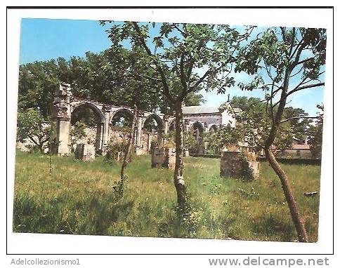 11454)cartolina Illustratoria  Serra S.bruno- Ruderi Della Certosa , Nuova - Marcophilie