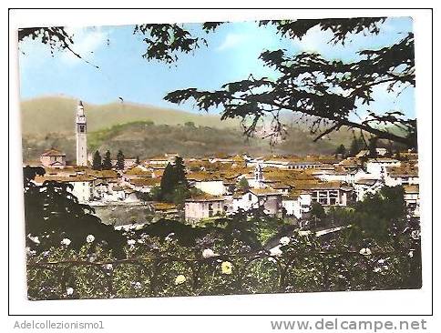 11464)cartolina Illustratoria Malnate -   Panorama - Marcophilie