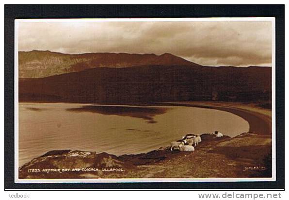Judges Real Photo Postcard Sheep Ardmair Bay & Coigach Ullapool Wester Ross Scotland - Ref 213 - Ross & Cromarty