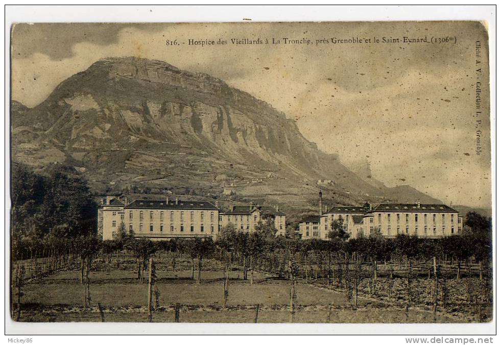 Env Grenoble--La Tronche--Hospice Des Vieillards  N° 816  Collectio L.P - La Tronche