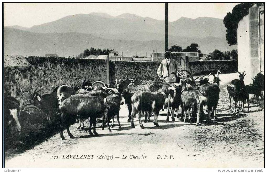 09 - ARIEGE - LAVELANET - AGRICULTURE - ELEVAGE De CHEVRE - LE CHEVRIER - Allevamenti