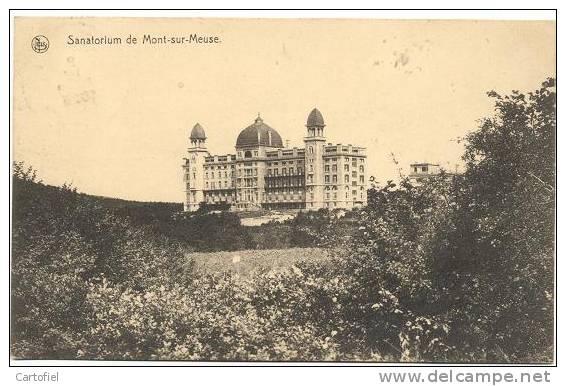 MONT-SUR-MEUSE - SANATORIUM - Yvoir