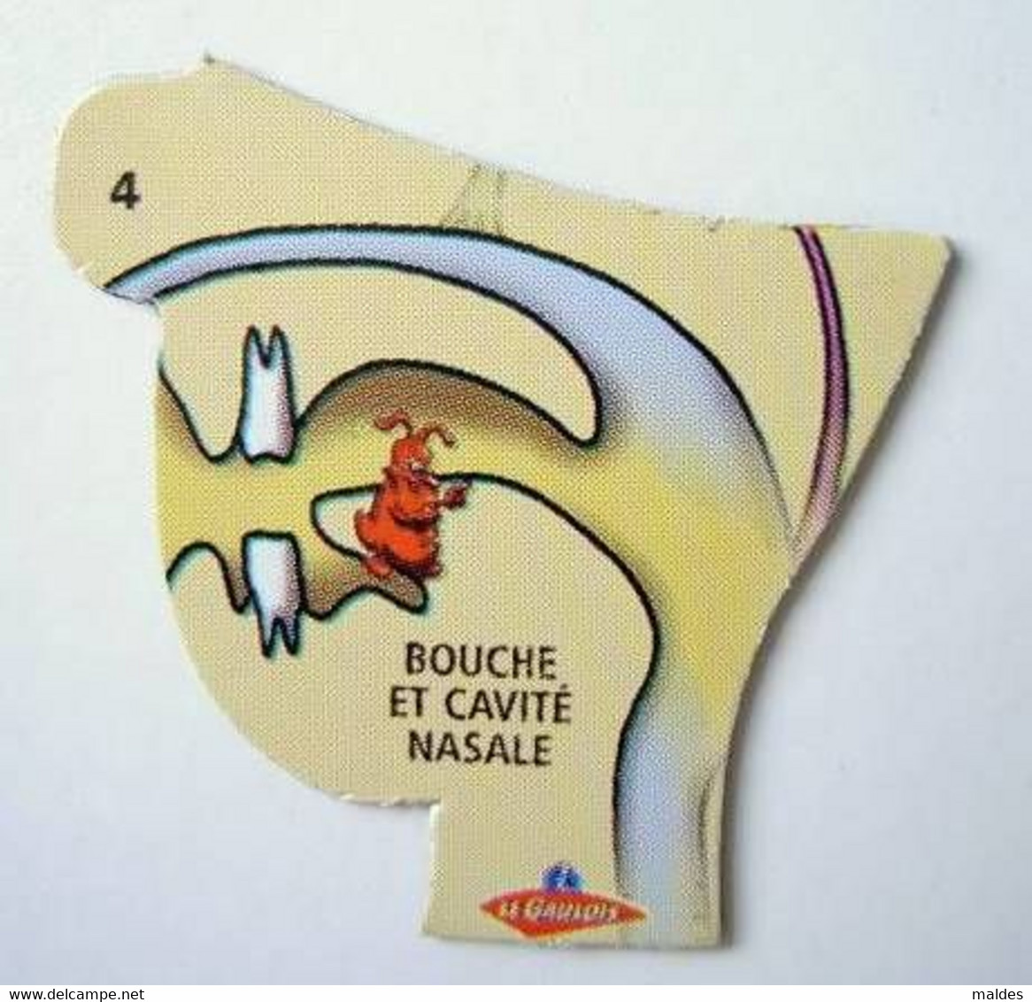 Magnets Le Gaulois Le Corps Humain N° 4 - Personajes