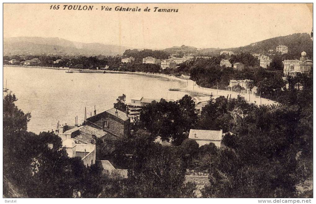 TAMARIS - Vue Générale - Tamaris