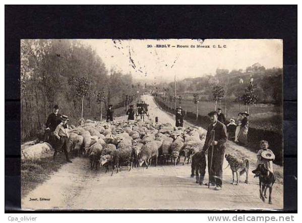 77 ESBLY Route De Meaux, Berger Avec Troupeau De Moutons, Très Beau Plan, Ed Jonet 20, 1905 - Esbly