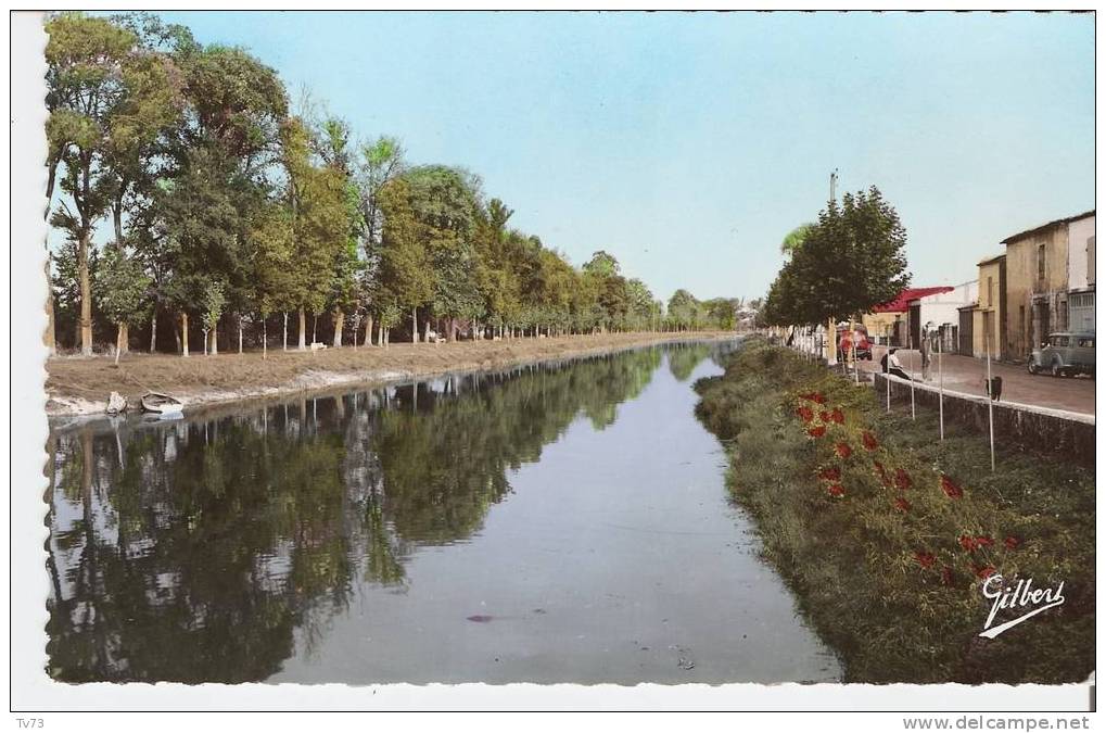 CpE2611 - SAUJON - La Seudre - (17 - Charente Maritime) - Saujon