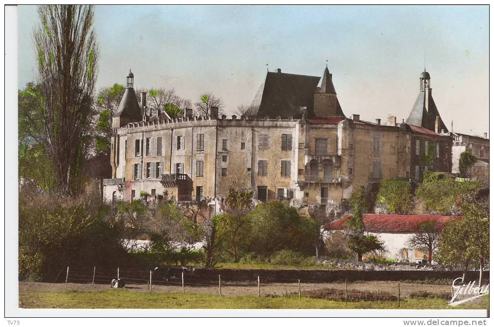 CpE2613 - JONZAC - Le Chateaun Façade Sud Est - (17 - Charente Maritime) - Jonzac