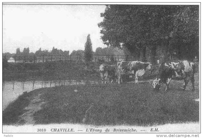 Carte Postale  92.  Chaville   Vaches En Paturage Sur L'étang De Brisemiche Rue Trés Beau Plan - Chaville