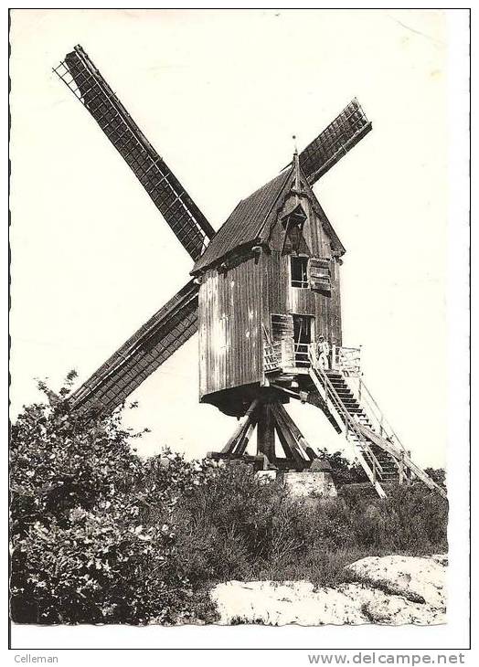 Keerbergen Oude Molen In Werking (i448) - Keerbergen