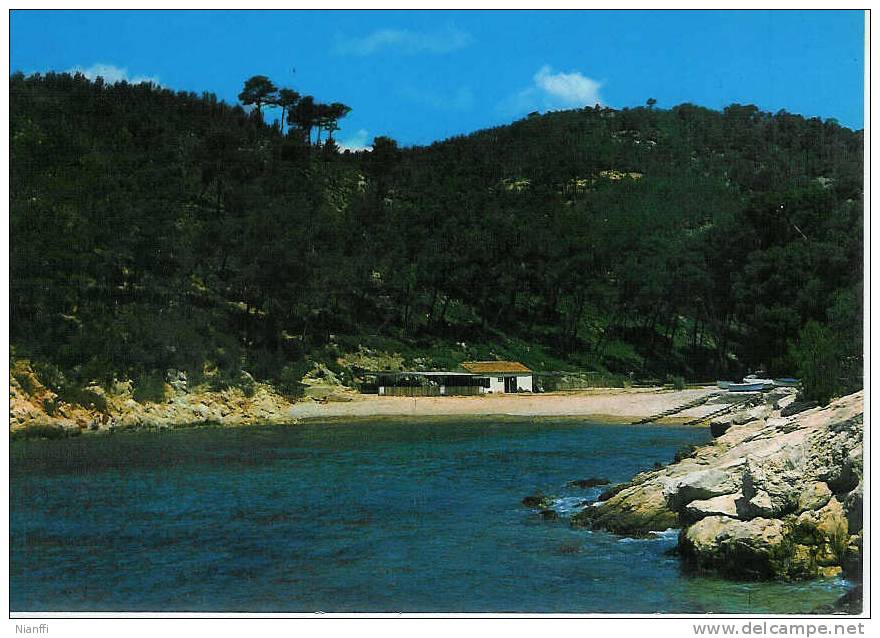 Saint-Cyr - Port  D´Alon -  La Calanque - Saint-Cyr-sur-Mer