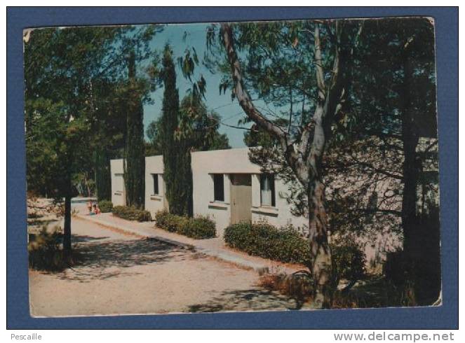 CP LE PRADET - VAR - VILLAGE VACANCES FAMILLES - LES PAVILLONS A L'ABRI DES EUCALYPTUS - 1976 DIAP - Le Pradet