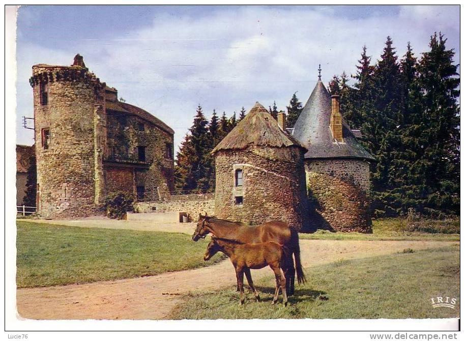 DOMAINE  De  La  RIVIERE  - Environs De POMPADOUR  -    Chevaux  - N°   19 174 - Arnac Pompadour