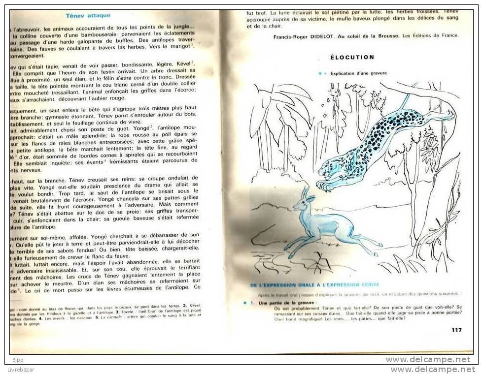 Lecture Vocabulaire Cours Moyen 1 Et 2 Classique Sudel Illustration Cappatti 1972 - 6-12 Years Old