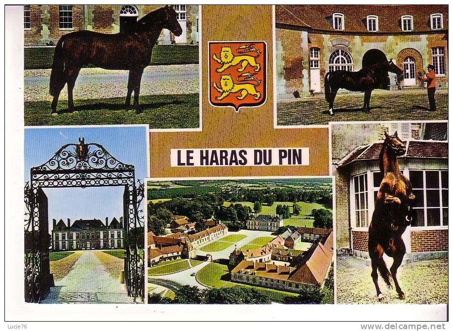 LE HARAS DU  PIN  -  5 Vues Et Blason  -  N° 102 - Exmes