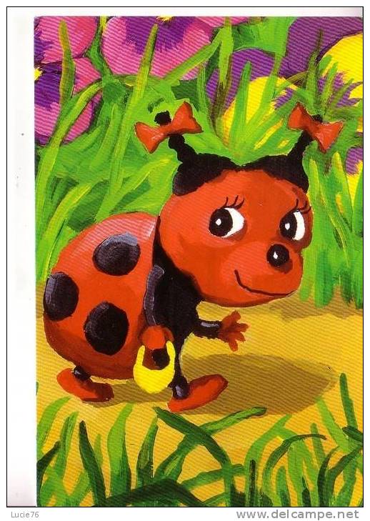 COCCINELLE -  Illustration - Insectes