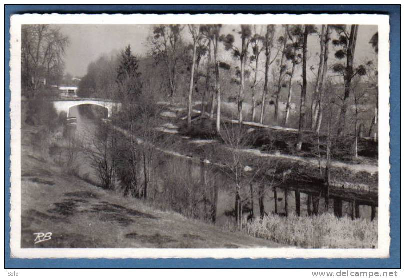 CHATILLON SUR LOIRE - Le Vieux Canal Mantelot - Chatillon Sur Loire