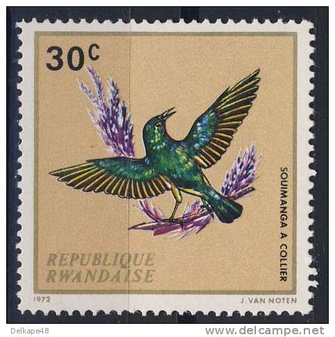 Ruanda Rwanda 1972 Mi 501 YT 464 Sc 458 ** Hedydipna Collaris: Collared Sunbird / Waldnektarvogel - Passereaux