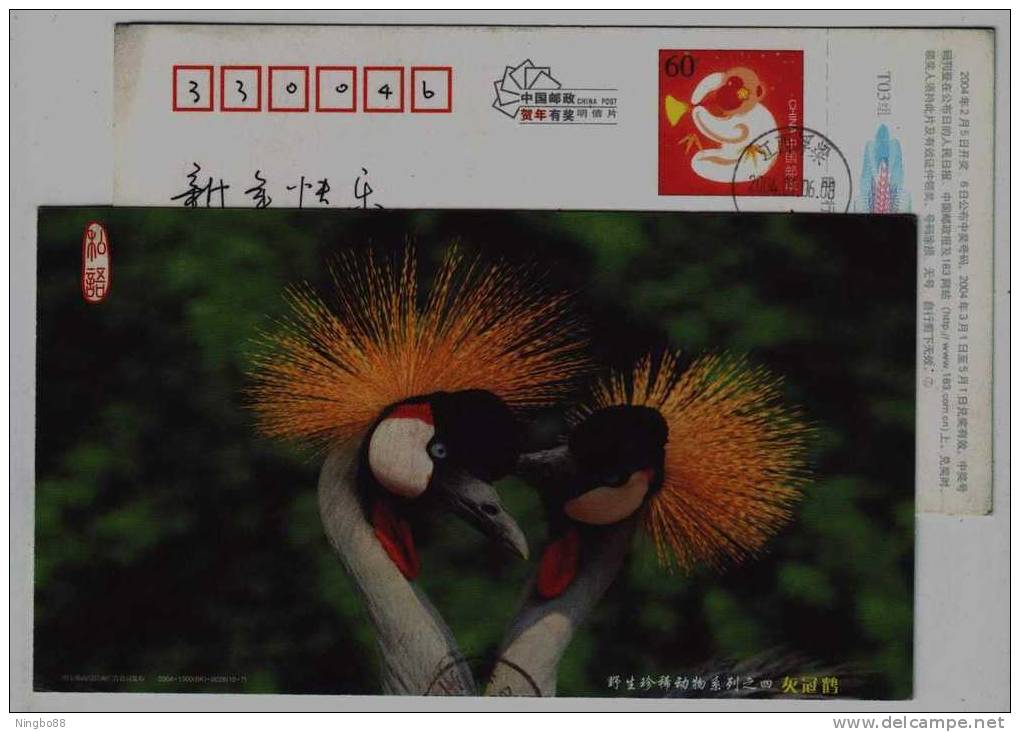 West Africa Crowned Crane Bird,China 2004 Rare And Exiguity Wildlife Series Advertising Pre-stamped Card - Kranichvögel