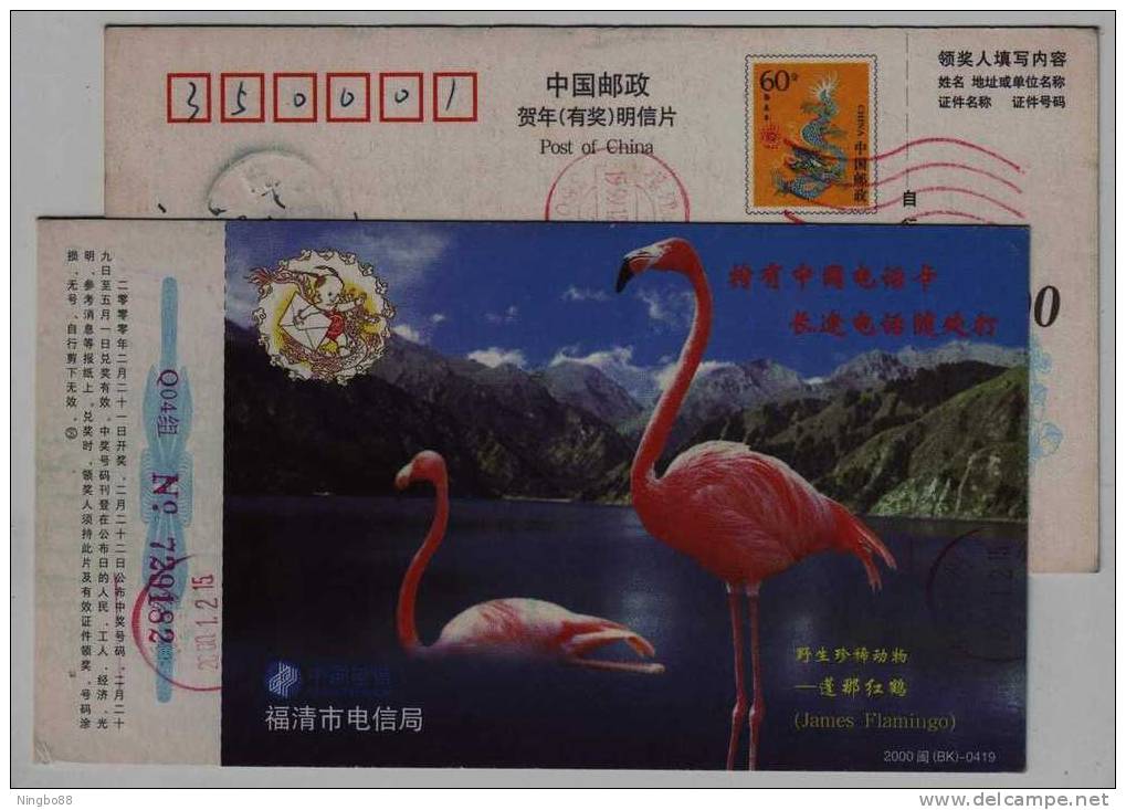 James Flamingo Bird,China 2000 Fujian Protect Rare & Sparsity Animal Advertising Pre-stamped Card - Flamants