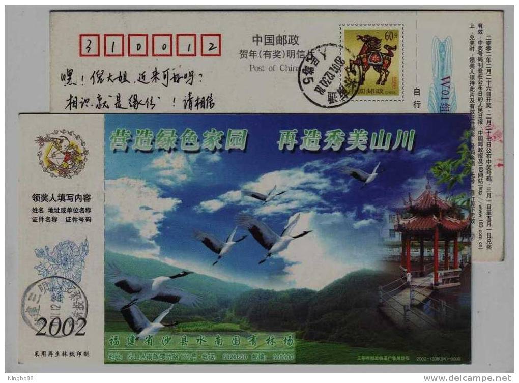 Red Crowned Crane Bird,green Homeland,CN 02 Shaxian Shuinan State-owned Forest Farm Advertising Pre-stamped Card - Kranichvögel