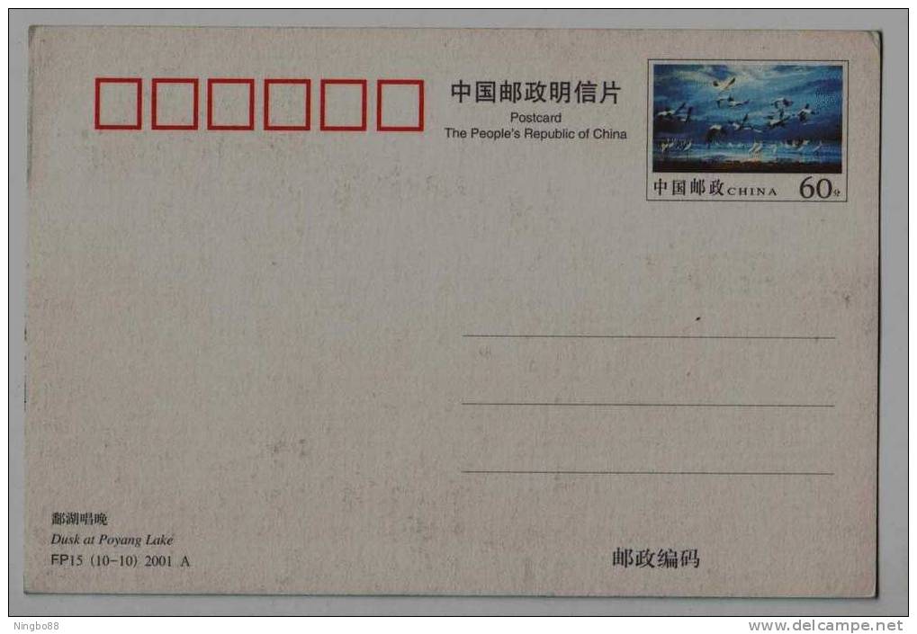 Crane Bird Inhabiting,China 2001 Poyang Lake Landscape Advertising Pre-stamped Card - Kranichvögel