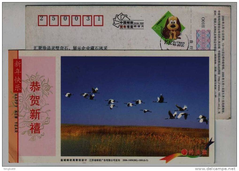 Red Crowned Crane Bird Flying Over Reed Wetland,national Nature Reserve,CN 06 Yancheng New Year Pre-stamped Card - Kranichvögel