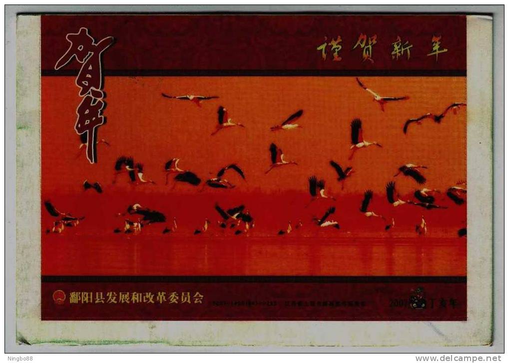 Crane Bird Inhabiting And Feeding In Poyanghu Lake Wetland,CN07 Poyang Landscape Pre-stamped Letter Card - Grues Et Gruiformes