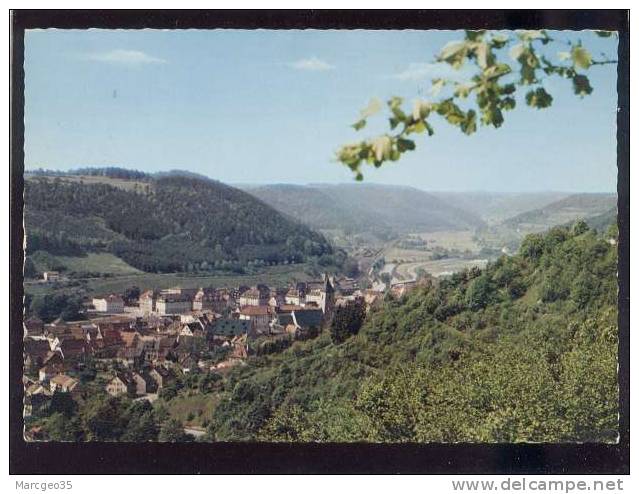 Horb Vue Panoramique  édit.la Cigogne N° 1.51 Belle Cpsm - Horb