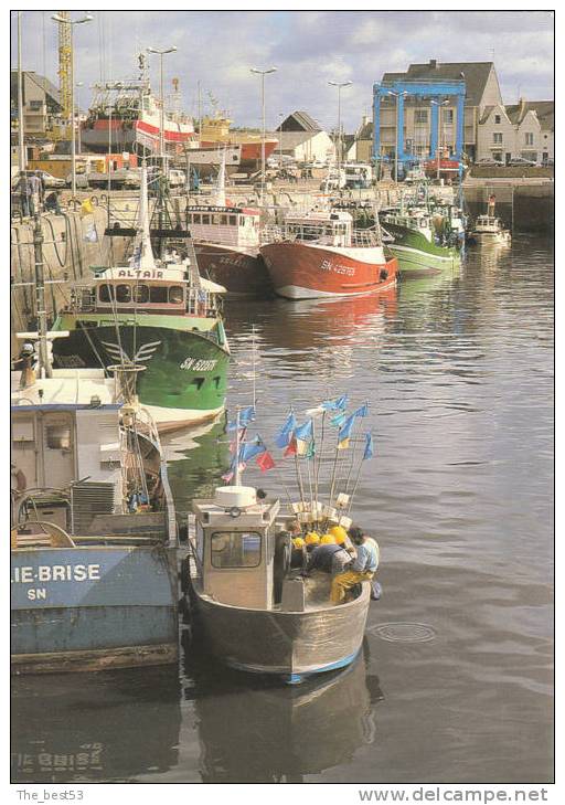 4.6054   -   La Turballe   -   Le Port De Pêche - La Turballe