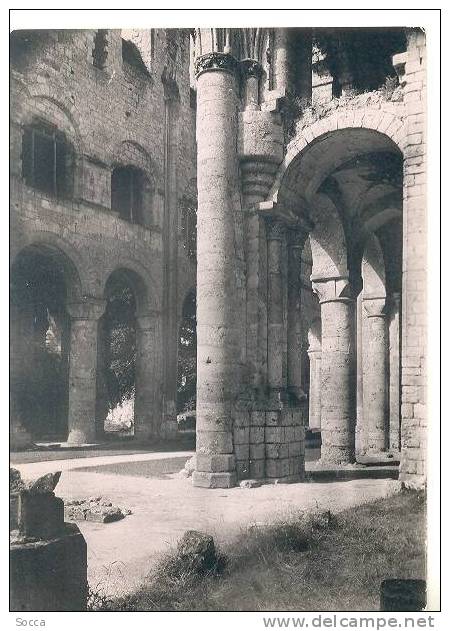 JUMIEGES - Ruines De L´Abbaye - Eglise Notre-Dame XIè S. - Nef Et Bas-côté Nord Vus Du Carré Du Trabsept XIIIè - XIVè S. - Jumieges