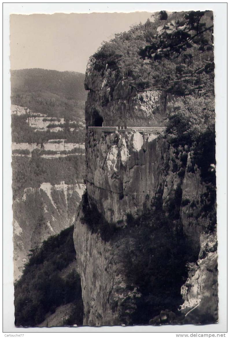 P4 - LE ROYANS - Route De Combe-Laval - Le Grand à Pic (jolie Carte Semi-moderne) - Pont-en-Royans