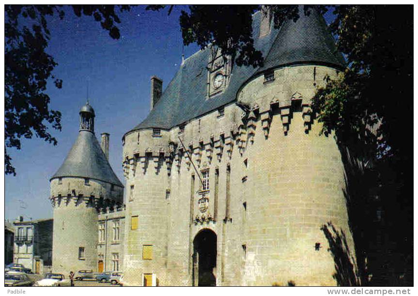 Carte Postale 17.  Jonzac  Le Chateau Trés Beau Plan - Jonzac