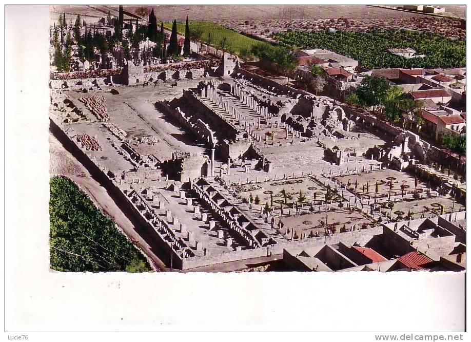 TEBESSA -  Vue Générale Sur Les Ruines Romaines De La Basiliques   - N° 3 A - Tebessa