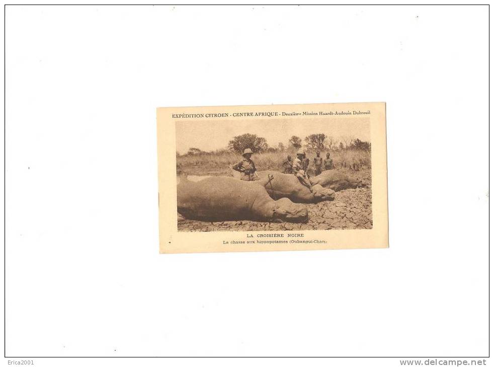 Centrafrique .oubangui Chari . Expedition Citroen , La Chasse Aux Hippopotames  2 Eme Mission  Haardt  Audouin  Dubreuil - Centrafricaine (République)