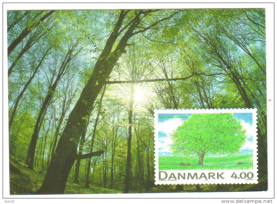 Danemark , Entier Carte Postale Maxi , Oblitétée Pour Italie. - Interi Postali