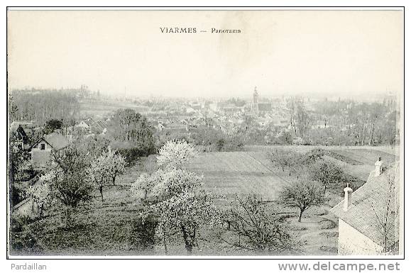 95. VIARMES. PANORAMA. - Viarmes